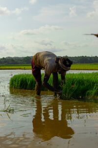 farmer subsidy scheme maharashtra